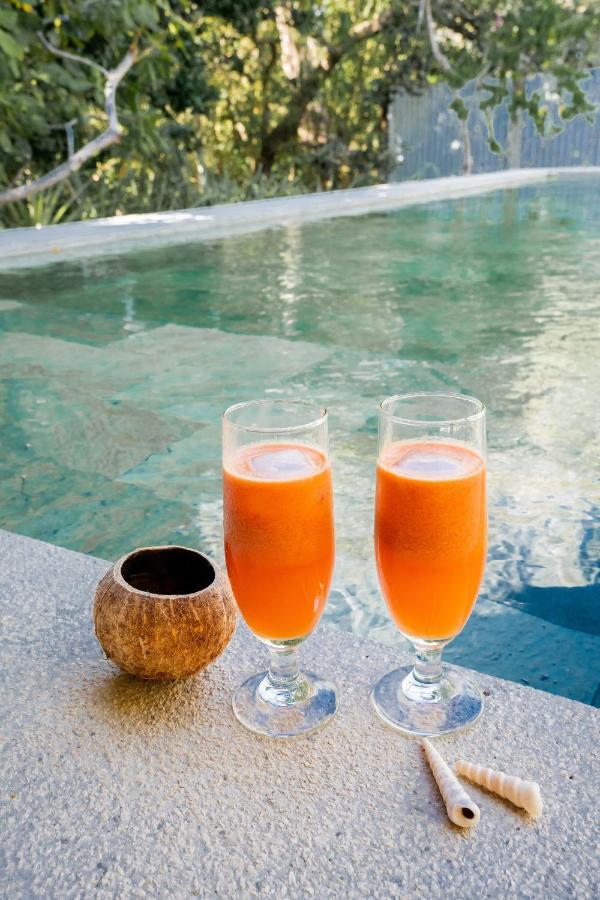 Antema Lodge Secteur Tamarindo, Piscine, Yoga, Gym, Jungle Et Paix Buitenkant foto